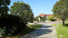 锡山高级中学新校区2000平甲醛治理