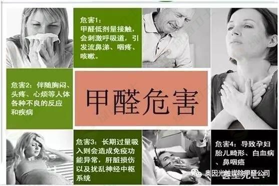 「什么能吸收甲醛」除甲醛真的有用吗？